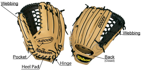 Parts of a baseball glove